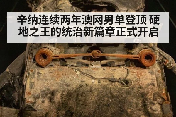 辛纳连续两年澳网男单登顶 硬地之王的统治新篇章正式开启